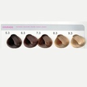 Teinture pour cheveux en crème "Keratin Trendy" Coloration Professionnelle "Violet Hair Cosmetics" 100ml